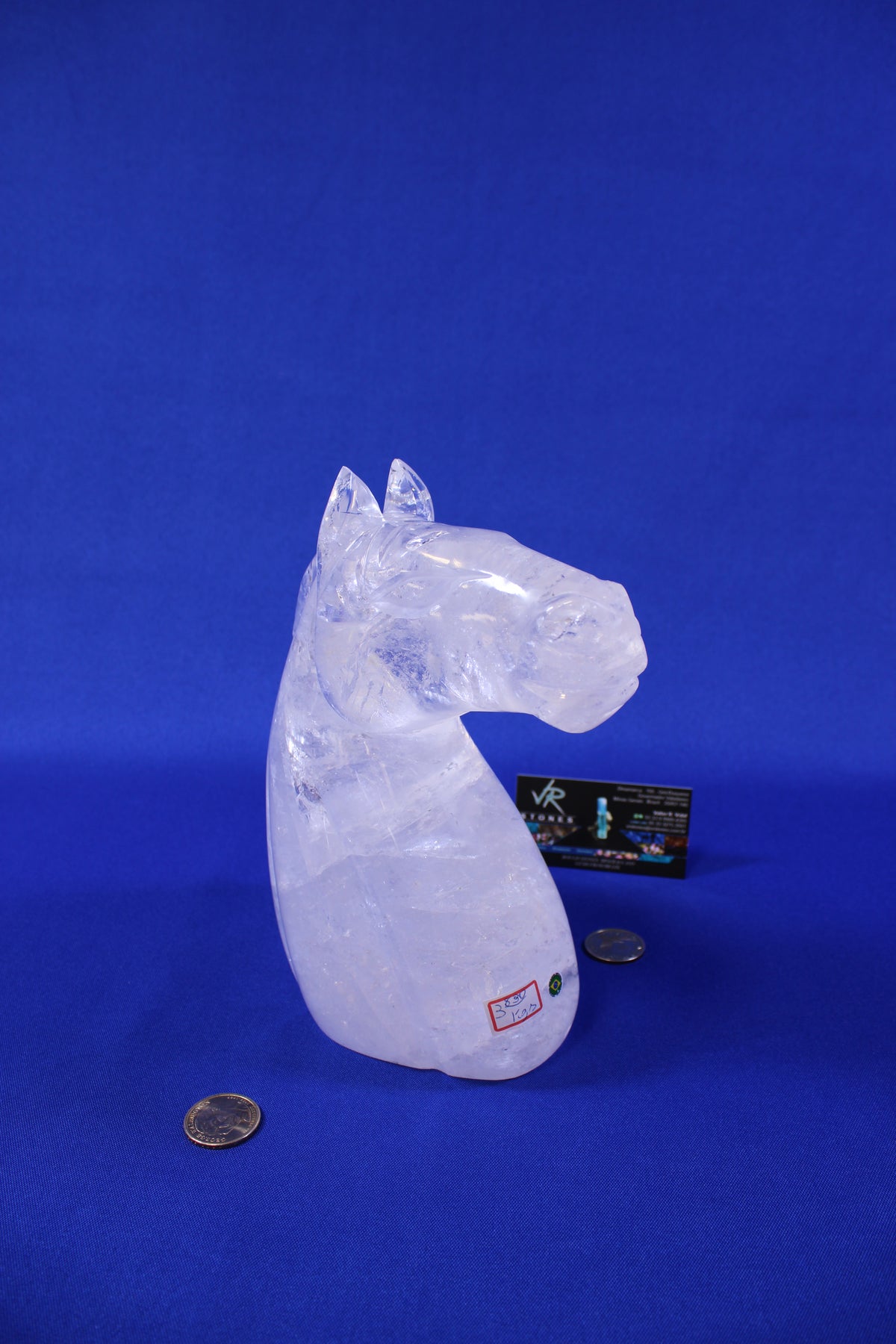 CAV1 | Quartz Horse