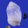 PLM03 | Large Lemurian Point