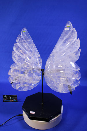 AS07 | Quartz Wings thumbnail 2