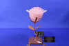 FL07 | Rose Quartz Flower