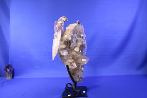 PA23 | Smoky Quartz with Amethyst Bird thumbnail 2