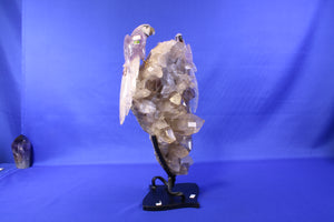 PA23 | Smoky Quartz with Amethyst Bird thumbnail 3