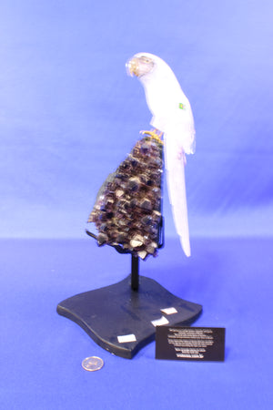 PA14 | Amethyst Druse with Bird thumbnail 2
