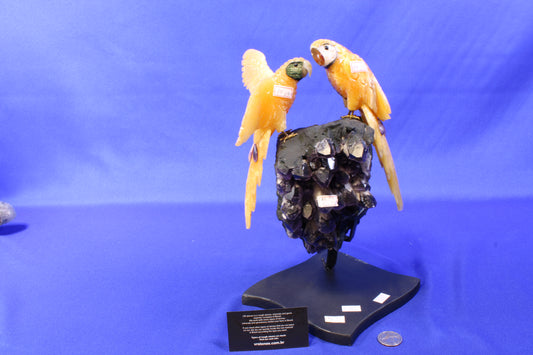 PA09 | Amethyst Druse with Bird