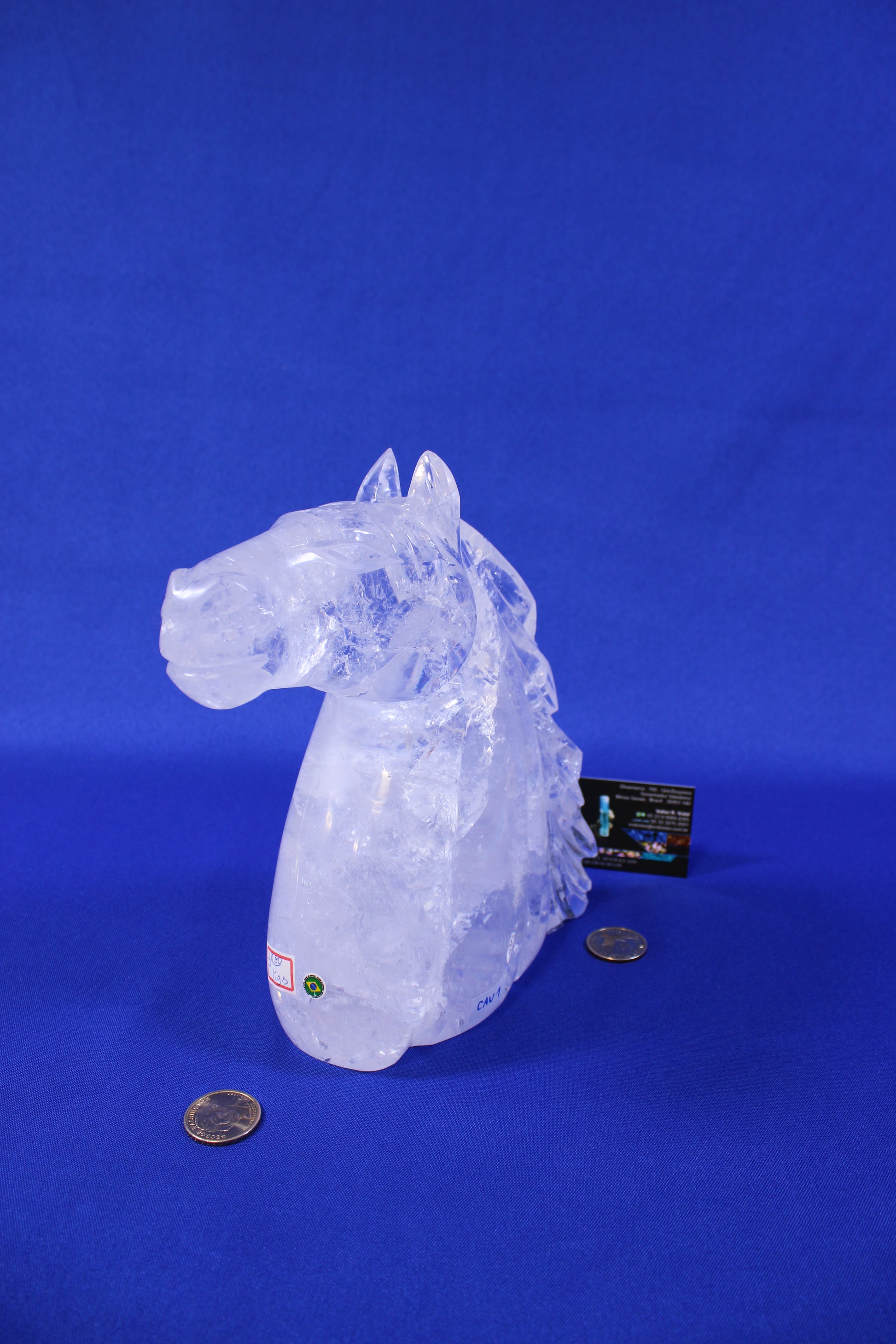 CAV1 | Quartz Horse