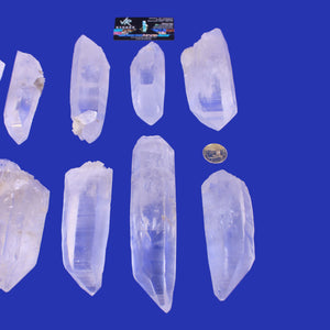 PLM02 | Medium Lemurian Point thumbnail 3