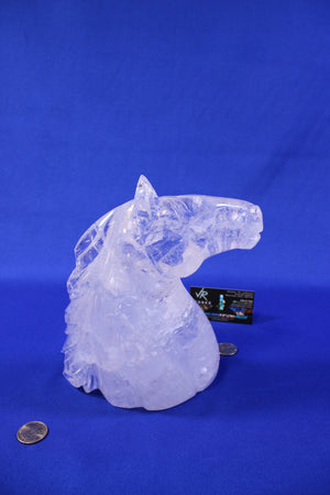 CAV1 | Quartz Horse thumbnail 3
