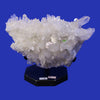 PI26 | Lemurian Cluster