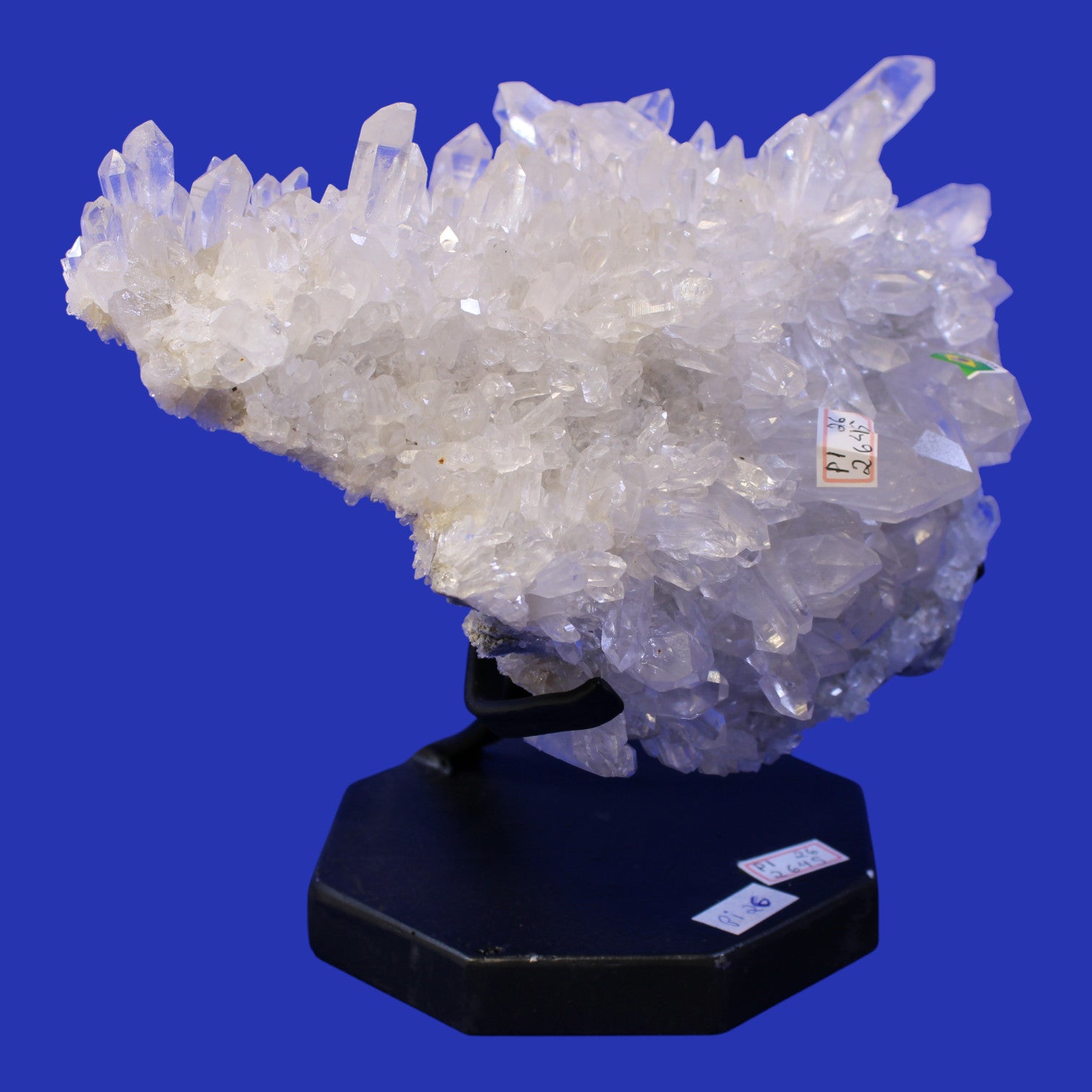 PI26 | Lemurian Cluster