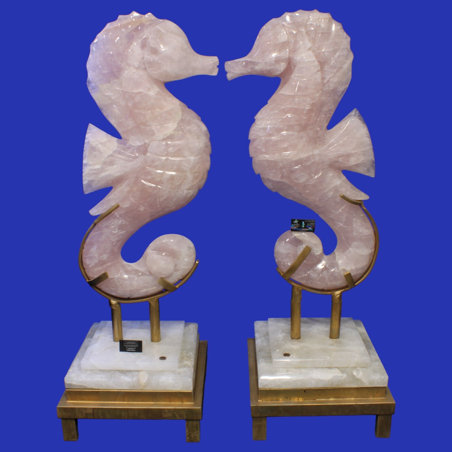 CAM02 | Rose Quartz Sea Horse